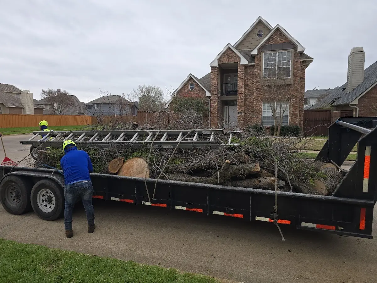 Expert Tree Fertilization with proper safety equipment in Oakville